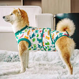 Luxurious Cotton Dog trouser with classic and unique style