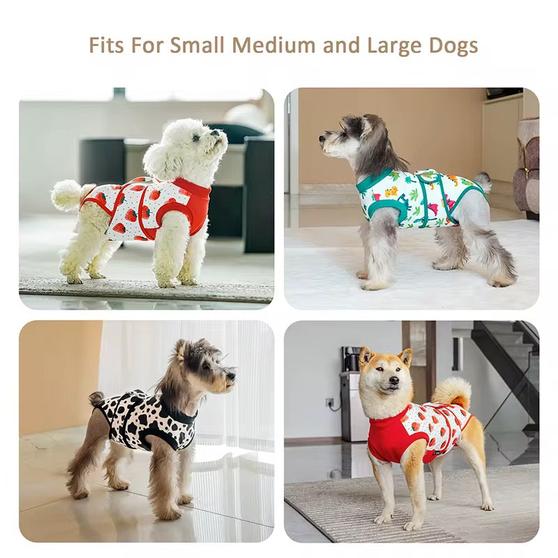 Luxurious Cotton Dog trouser with classic and unique style