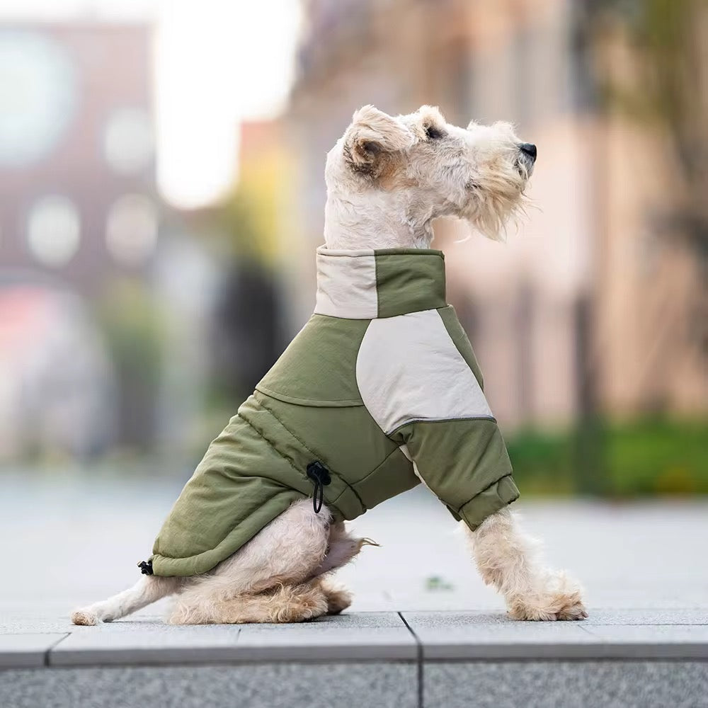 Customisable dog jacket adjustable waist band