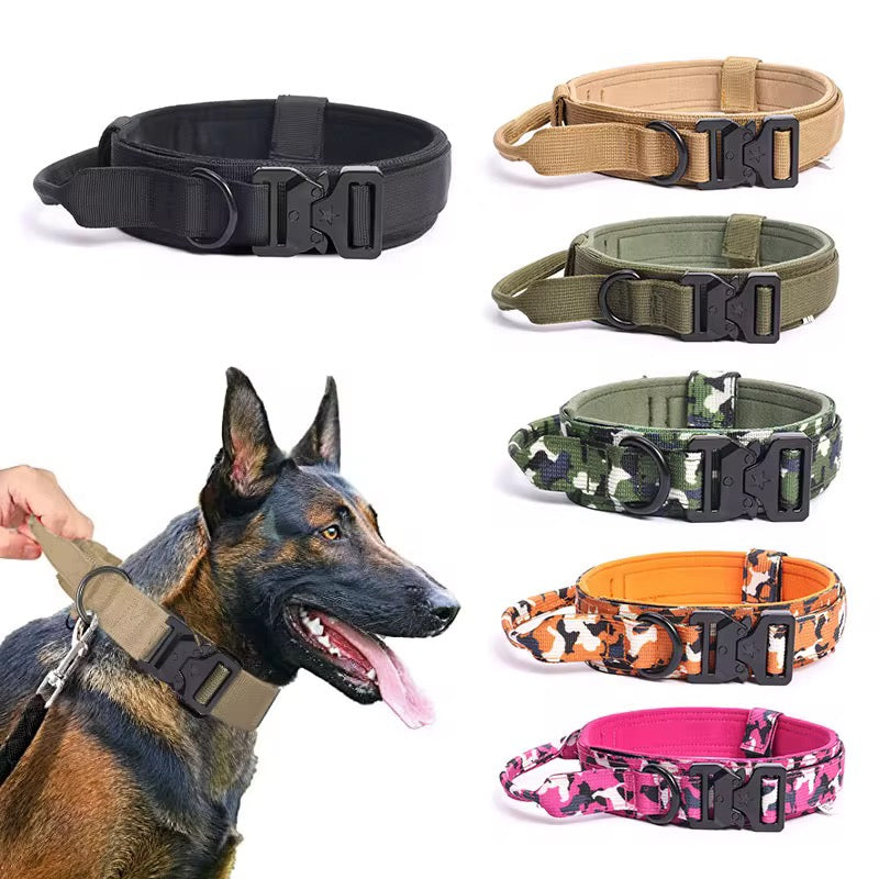 Adjustable dog collor with unique design