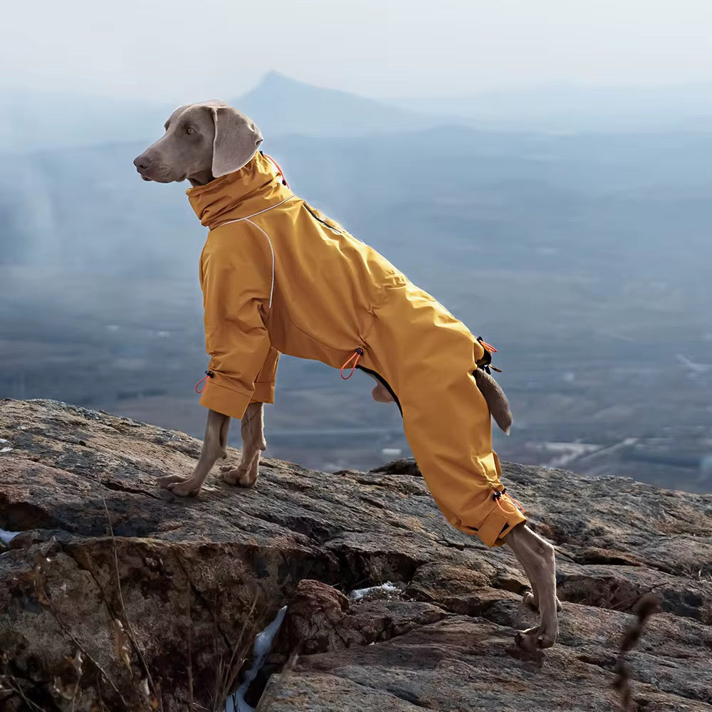 Water proof clothes for large breads with unique and comfortable designs
